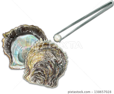 珍珠提取體驗：用鑷子從珍珠貝中取出珍珠。 138657028