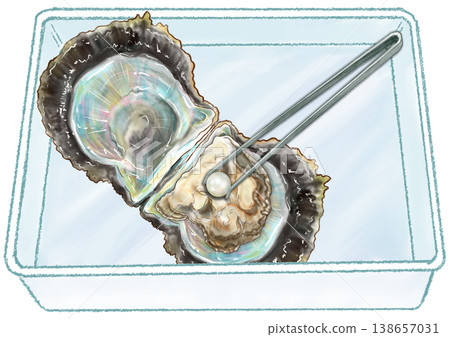 Pearl harvesting experience_5_Picking pearls from opened oysters with tweezers_Tray provided Pearl harvesting experience_5_Picking pearls from opened oysters with tweezers_Tray provided 138657031