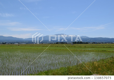 日本著名稻田之一山形縣莊內的田園風光 138657073