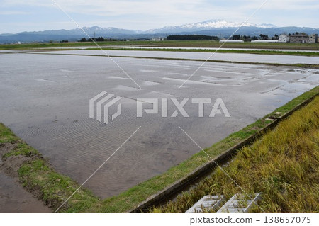 Rural scenery Shonai, Yamagata Prefecture, one of Japan's leading rice fields Rural scenery Shonai, Yamagata Prefecture, one of Japan's leading rice fields 138657075