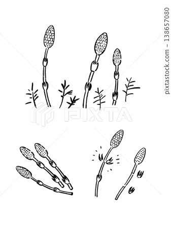 Brushstrokes of Tsukushi 138657080