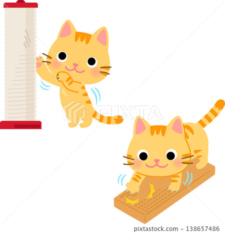 一隻貓正在使用麻繩抓柱和紙板抓柱。 138657486