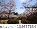 Hachimanyama Park in Utsunomiya City, Tochigi Prefecture 138657834