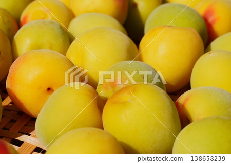 Plum preservation 02 Plum preservation 02 138658239