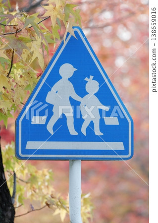 Pedestrian crossing signs, traffic signs protecting children's safety, surrounded by the colors of autumn. Pedestrian crossing signs, traffic signs protecting children's safety, surrounded by the colors of autumn. 138659016