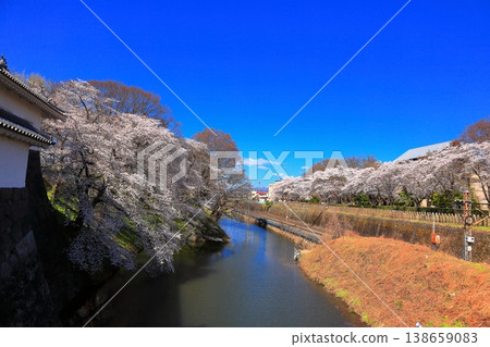 Blue sky and cherry blossoms at Kajo Park, Yamagata Castle Ruins, Ninomaru East Main Gate and Main Bridge 138659083