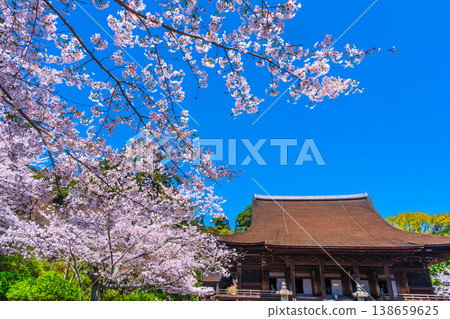 Cherry blossoms and the main hall of Mii-dera Temple 138659625
