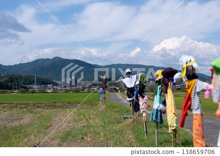 A scarecrow left in a rice paddy after rice harvesting A scarecrow left in a rice paddy after rice harvesting 138659706