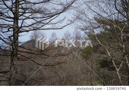 Natural scenery viewed from the beautiful forest during the snowmelt season. Natural scenery viewed from the beautiful forest during the snowmelt season. 138659740