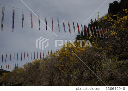 Preparations for displaying carp streamers are underway at Michi-no-Eki Minami Kiyosato. 138659948
