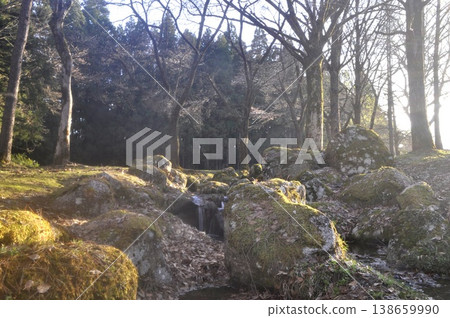 scenery scenery 138659990