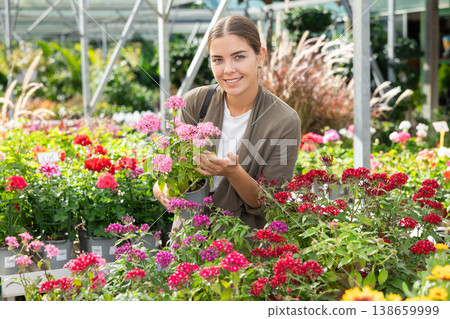 Girl is touch and mesmerized by dense and thick rich inflorescences of decorative half-shrub pentas Girl is touch and mesmerized by dense and thick rich inflorescences of decorative half-shrub pentas 138659999