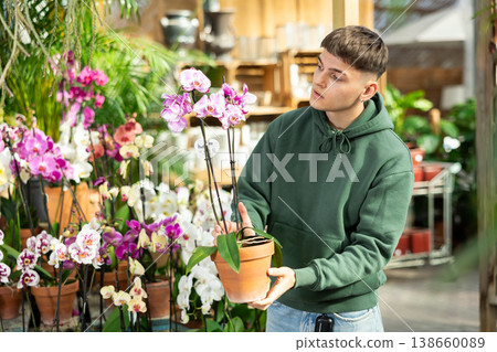 Guy customer-onlooker curiously examines showcase exhibition with indoor plant orchid 138660089