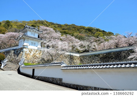 Tatsuno Castle Corner Tower Tatsuno Castle Corner Tower 138660292