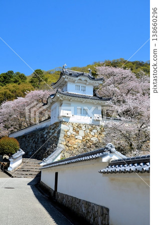 Tatsuno Castle Corner Tower 138660296