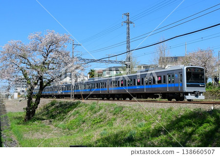 小田急3000系列3253F和櫻花盛開的最後階段 小田急3000系列3253F和櫻花盛開的最後階段 138660507