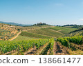 Chianti vineyards in Tuscany a sunny day. 138661477