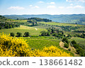 Chianti, Tuscany: rolling hills, vineyards, olive groves, and yellow flowers in bloom 138661482