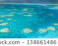 Aerial view of coral reefs in the Great Barrier Reef, Australia. 138661486