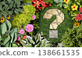 Gardening Questions 138661535