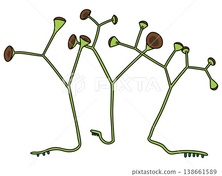 Pop art illustrations by Cooksonia Pertoni 138661589