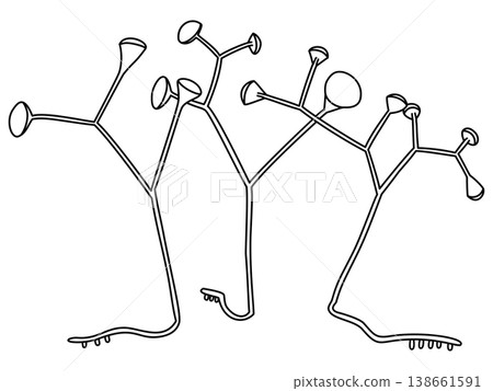 Pop art illustrations by Cooksonia Pertoni 138661591