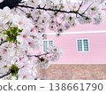 一棟夢幻般的粉紅色房子和櫻花盛開的景色。 138661790