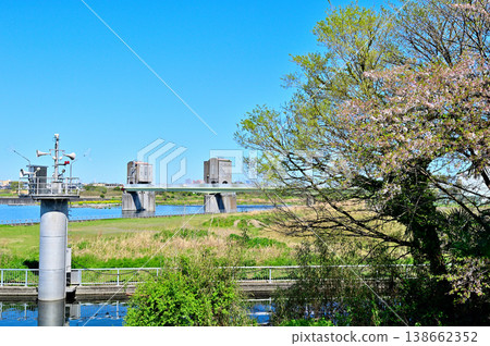 Cherry blossoms bloom in spring along the Tama River and the Nikaryo-Shukugawara Weir, a water utilization facility. Cherry blossoms bloom in spring along the Tama River and the Nikaryo-Shukugawara Weir, a water utilization facility. 138662352