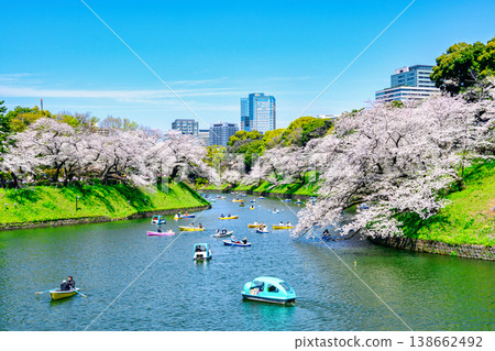 東京千鳥淵划船區：櫻花盛開，2026年 138662492
