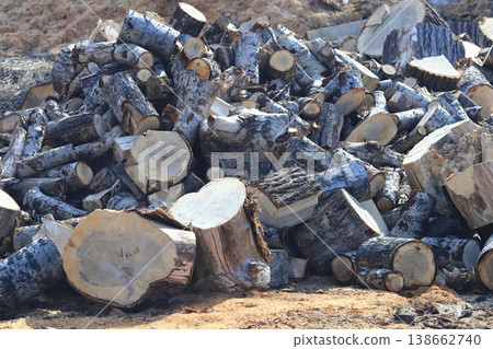 Firewood piled haphazardly; wood from Hokkaido; wallpaper 138662740