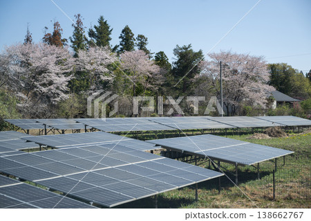 在櫻花盛開的鄉村,安裝了太陽能電池板。 在櫻花盛開的鄉村,安裝了太陽能電池板。 138662767