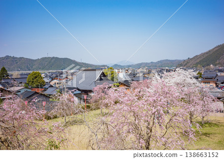從兵庫縣豐岡市出石城遺址眺望出石町，櫻花正值盛開。 138663152
