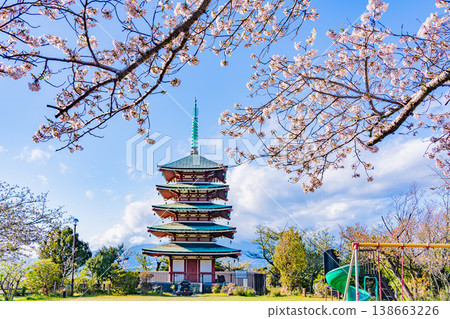 (Shizuoka Prefecture) Kanukiyama/Koryodai, Memorial Peace Tower covered in cherry blossoms in full bloom (Shizuoka Prefecture) Kanukiyama/Koryodai, Memorial Peace Tower covered in cherry blossoms in full bloom 138663226