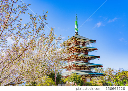 （靜岡縣）鹿貫山/高陵台，和平紀念塔被盛開的櫻花覆蓋。 138663228