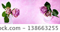Cute rose material in soft colors 138663255