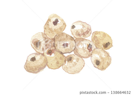 Tiger nuts painted in watercolor 138664632