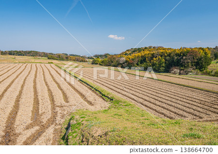 滋賀縣大津市荻町的梯田 滋賀縣大津市荻町的梯田 138664700