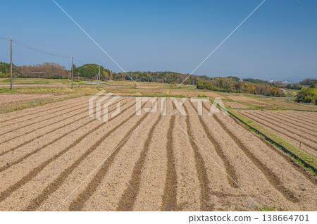 滋賀縣大津市荻町的梯田 滋賀縣大津市荻町的梯田 138664701