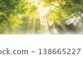 背景圖片展現了斑駁的陽光透過樹木灑在翠綠的樹葉和白色背景上。 138665227