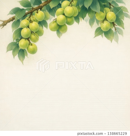 一幅水彩畫，描繪了初夏時節的青梅和嫩葉。 138665229