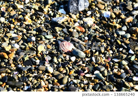 Seashells and pebbles from Takada Matsubara Seashells and pebbles from Takada Matsubara 138665240