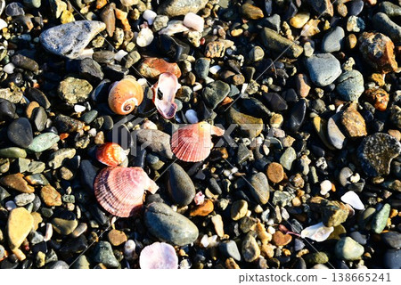 Seashells and pebbles from Takada Matsubara Seashells and pebbles from Takada Matsubara 138665241