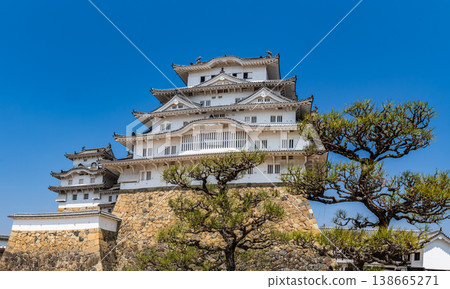 Himeji Castle is one of the "12 existing castle keeps." The sight of the main keep and three smaller keeps connected by connecting towers is particularly magnificent. Himeji Castle is one of the "12 existing castle keeps." The sight of the main keep and three smaller keeps connected by connecting towers is particularly magnificent. 138665271