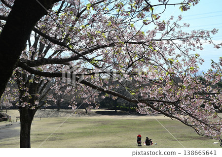 Tamanawa Cherry Blossoms at Ozenji Furusato Park Tamanawa Cherry Blossoms at Ozenji Furusato Park 138665641