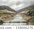 神奈川縣箱根市宮城野早川河堤岸的櫻花；從大文字橋上看到的景色。 138666276