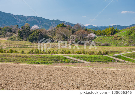 Terraced rice fields in Ogi, Otsu City, Shiga Prefecture 138666346