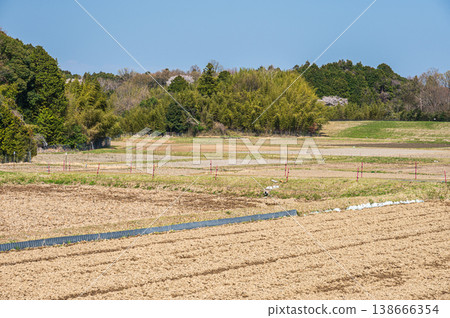 Terraced rice fields in Ogi, Otsu City, Shiga Prefecture 138666354