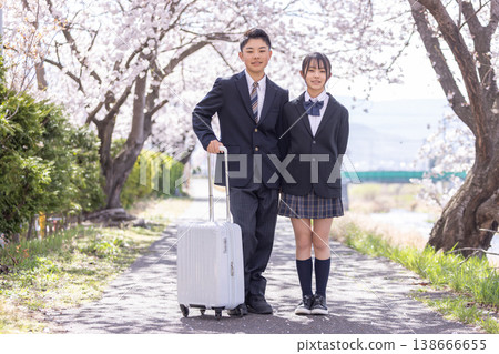男女學生拖著行李箱站在櫻花樹下。 138666655