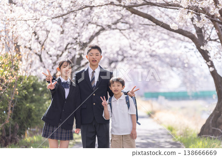 Middle school students and new first-year students taking a commemorative photo under the cherry blossoms. Middle school students and new first-year students taking a commemorative photo under the cherry blossoms. 138666669