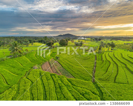 Beautiful morning view in Indonesia, panoramic landscape of rice fields with mountain ranges and clear sky Beautiful morning view in Indonesia, panoramic landscape of rice fields with mountain ranges and clear sky 138666699